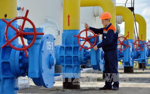 Nga khẳng định tiếp tục vận chuyển khí đốt sang châu Âu qua Ukraine
