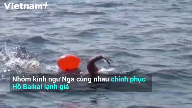 Nhóm kình ngư Nga cùng nhau chinh phục Hồ Baikal lạnh giá
