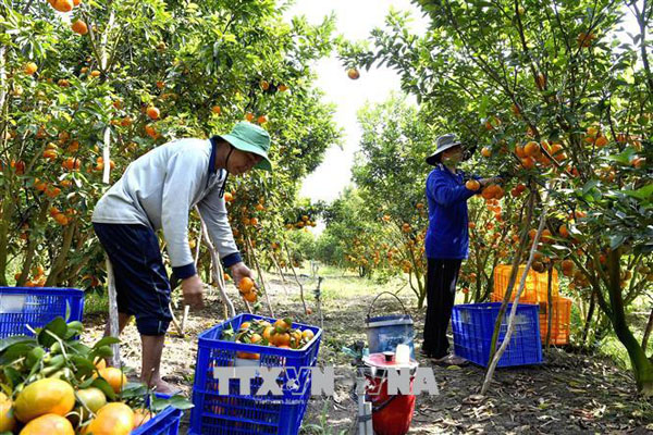 Điều gì giúp GDP năm 2018 tăng 7,08%, cao nhất trong 11 năm trở lại đây?