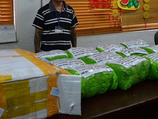 Hàng tấn lá ma túy cực độc núp bóng lá chè bị thu giữ