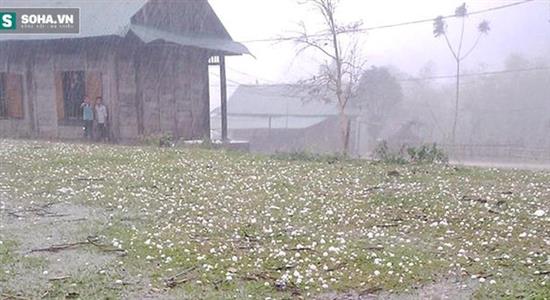 Người dân hoảng sợ khi mưa đá to như nắm tay trút xuống ở Nghệ An