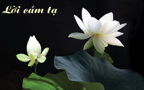 Lời cảm ơn từ BCH HĐH Nghệ An và GĐ anh Nguyễn Hữu Cường