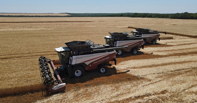 Nông dân Nga không sợ cấm vận, chờ mùa lúa mì bội thu