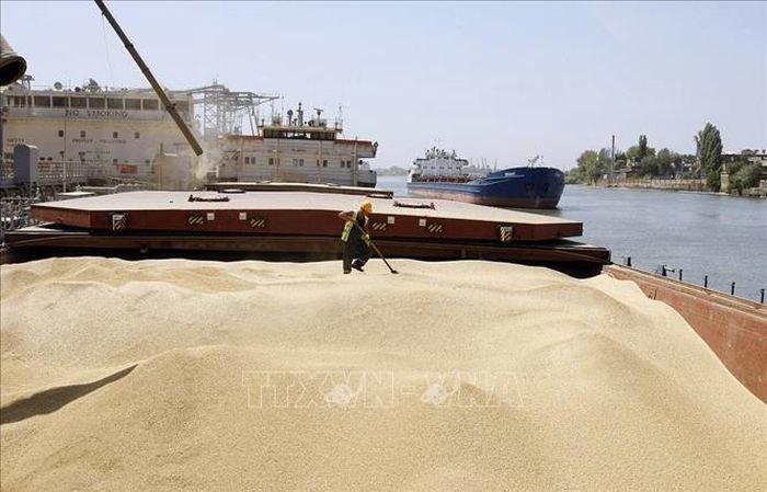 Thổ Nhĩ Kỳ nhất trí về nguyên tắc khi xử lý số ngũ cốc Nga dành cho châu Phi