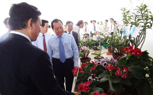 Lương “khủng” để hút nhân tài