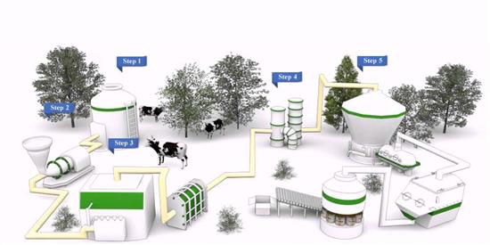 Nga hợp tác sản xuất sữa với Việt Nam