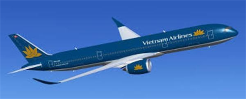 Đổ tiền vào Vietnam Airlines: Có “mua mèo trong bị”?