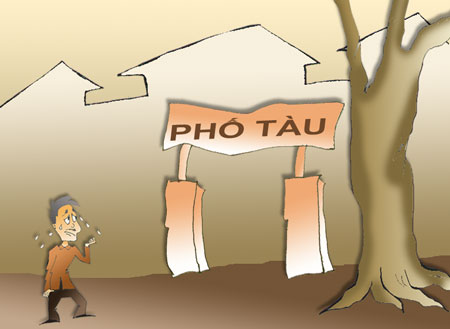Những phố Tàu trên nước Việt