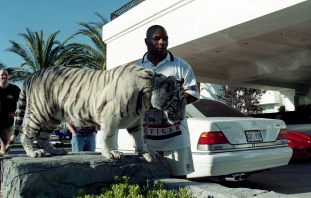 Mike Tyson tiết lộ lý do nuôi hổ làm thú cưng