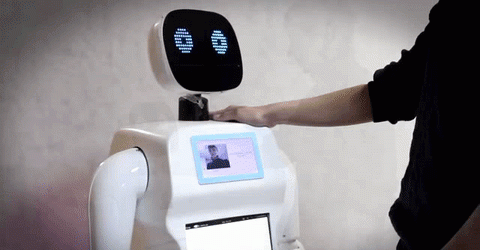 Robot vừa bỏ trốn khỏi phòng thí nghiệm, gây tắc cả một đoạn đường