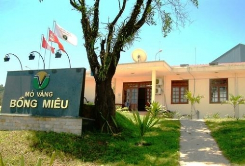 Đại gia vàng như được“hồi sinh” khi được bảo lãnh nợ thuế