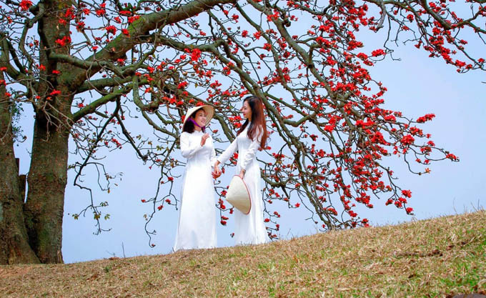Mùa hoa gạo