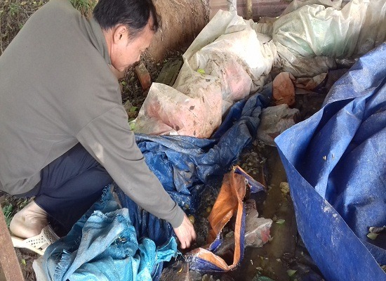 Hãi hùng trái cây ngâm bốc mùi làm ô mai, mứt Tết