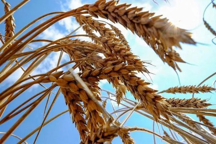 Mỹ ký thỏa thuận đặc biệt với Ukraine