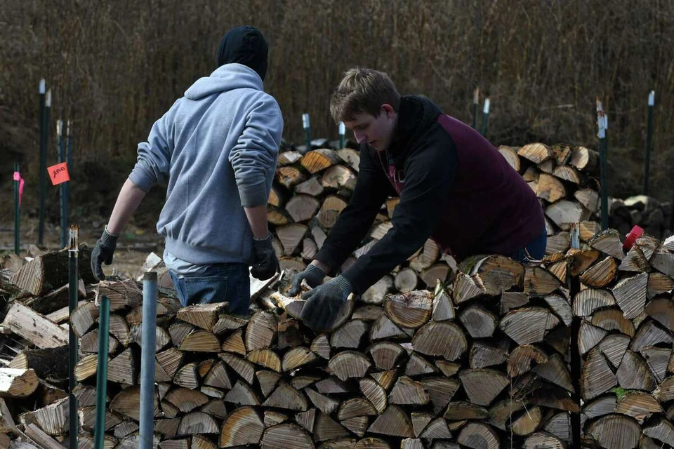 Người Mỹ chuyển sang đốt củi để sưởi ấm