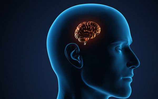 Trí nhớ ngày càng suy giảm thậm chí dẫn đến teo não là do bạn chưa bỏ được những thói xấu sau, đặc biệt là điều số 3