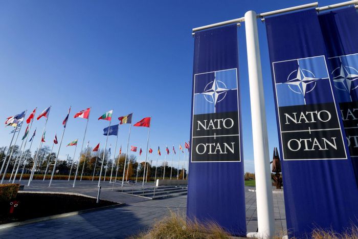 Ireland sẽ không theo Thụy Điển và Phần Lan gia nhập NATO