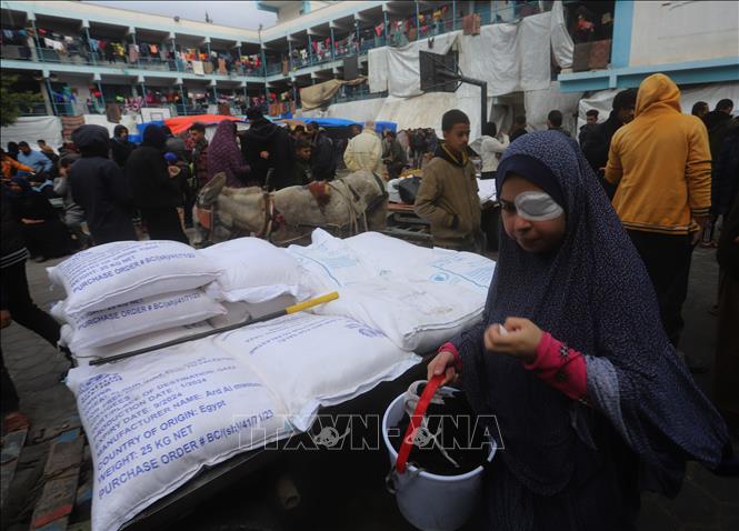 Lo ngại về hậu quả từ quyết định cắt tài trợ cho UNRWA