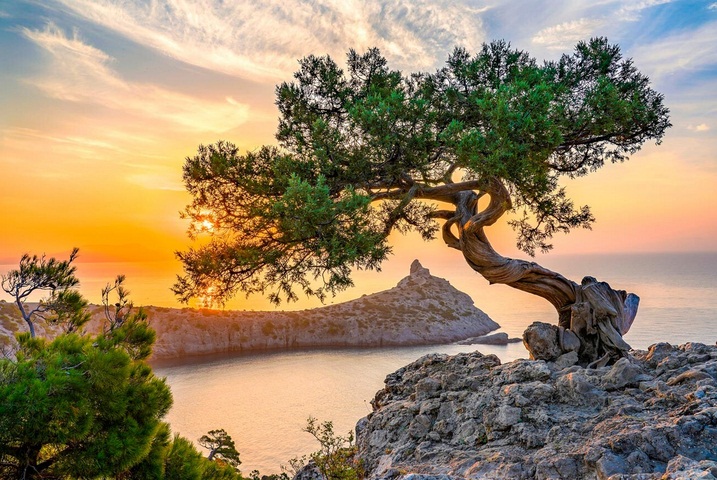 Bộ ảnh thiên nhiên hoang dã đẹp mê hồn ở nước Nga