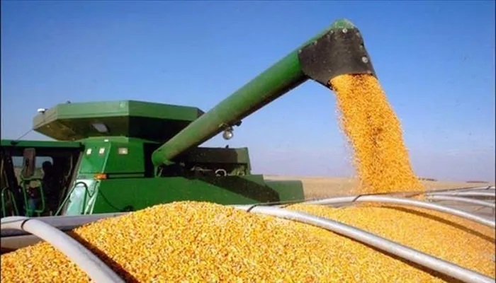 Nga tạo điều kiện cho xuất khẩu ngũ cốc từ Ukraine qua Biển Azov