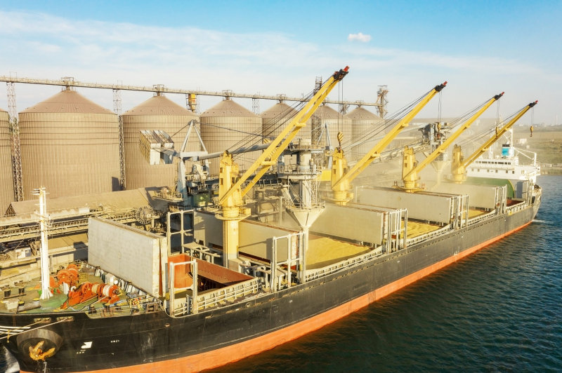 Nga - Ukraine đồng thuận khơi thông ''dòng chảy'' ngũ cốc qua biển Đen