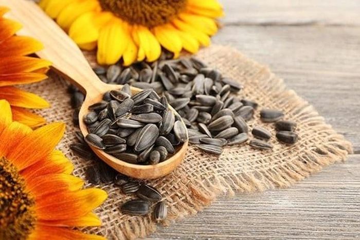 Đáp trả Nga, 3 doanh nghiệp phương Tây có động thái mới với các lô hàng hạt hướng dương