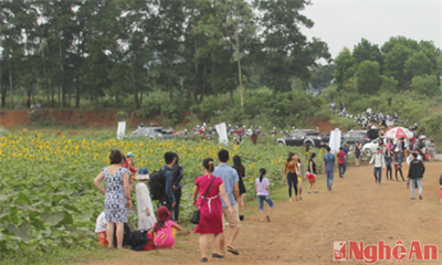 Hướng mở cho du lịch Nghĩa Đàn