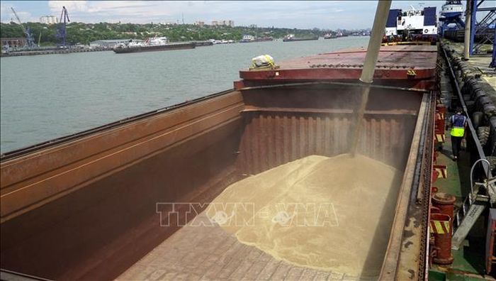 Nga giữ vững lập trường về các điều kiện thực thi Sáng kiến ngũ cốc Biển Đen
