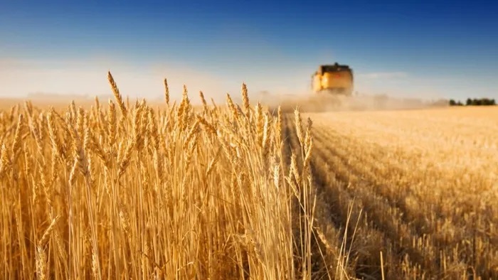 Cần loại bỏ những trở ngại cuối cùng cho xuất khẩu ngũ cốc của Ukraine và Nga