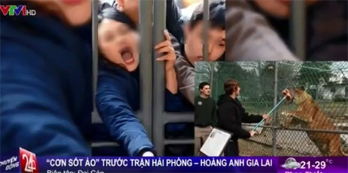 VTV xin lỗi vì so sánh fan Hải Phòng với hổ đói!