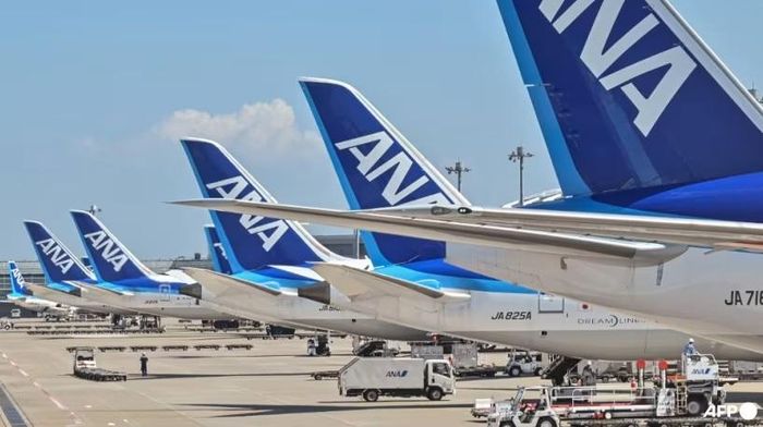 Máy bay Nhật Bản quay đầu vì hành khách cắn tiếp viên hàng không