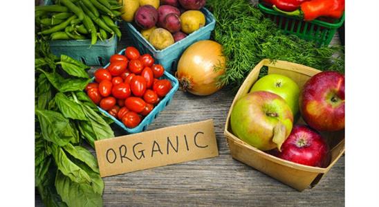 Việt Nam có rau hữu cơ sạch, thịt sạch, nhưng đa phần đều mang đi xuất khẩu