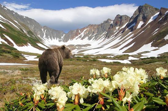 Thung lũng suối nước nóng ở Kamchatka