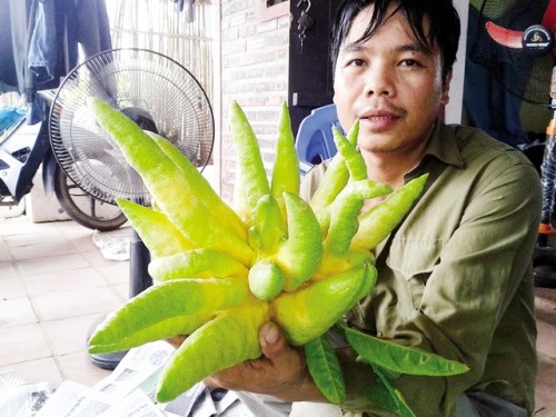 Ngắm những 