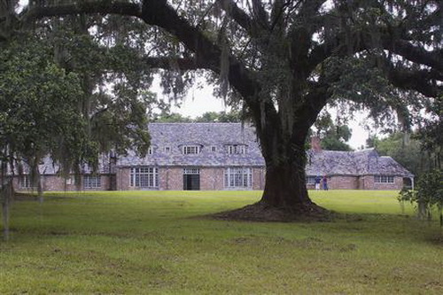 Thân phận 'nô lệ cần sa' người Việt ở Anh - Kỳ 1: Những 'bóng ma' bị chối bỏ