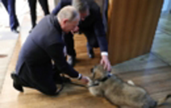 Tổng thống Nga Putin nhận món quà đặc biệt từ Tổng thống Serbia