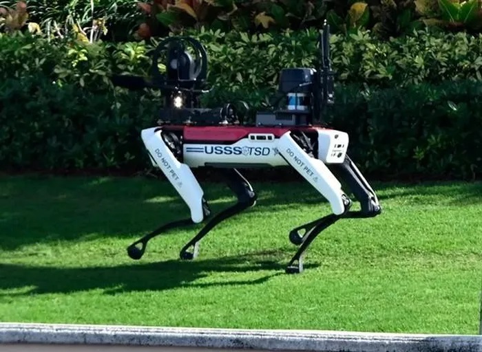 Chó robot đi quanh dinh thự của Tổng thống đắc cử Donald Trump, nhìn rất lạ mắt