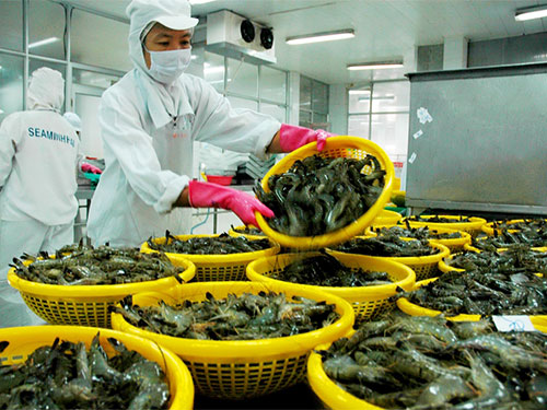 Hàng Việt rộng cửa sang Nga