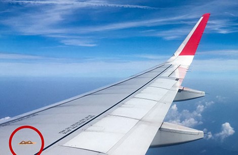 Đừng bỏ qua những chi tiết nhỏ trên máy bay, chúng giúp bạn thoát nạn dễ dàng