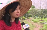 Xuất khẩu sang Nga - Hướng đi mới của nông sản Đà Lạt