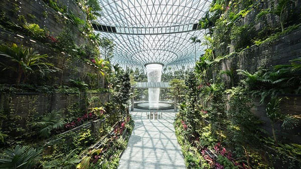 Ảnh: Chiêm ngưỡng hình ảnh lộng lẫy của sân bay tốt nhất thế giới tại Singapore