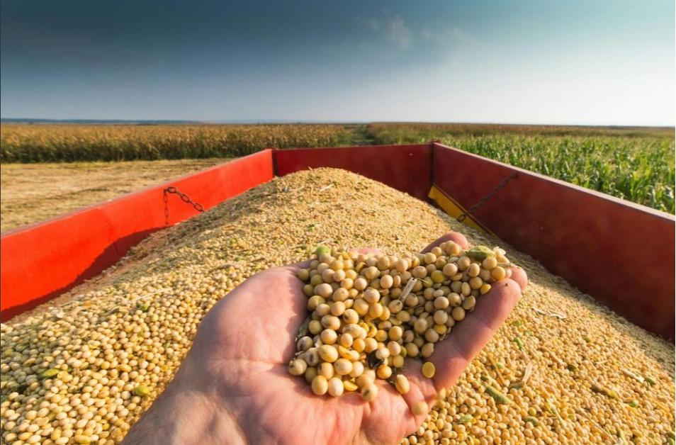 EU sắp tung đòn thuế đáp trả dễ gây 'nội thương' với Mỹ