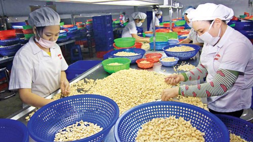 Doanh nghiệp hãy nghĩ tới cuộc chơi toàn cầu