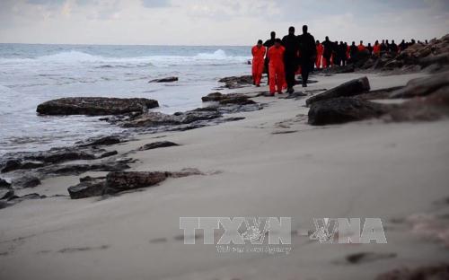 Khả năng Nga tham gia liên minh chống IS