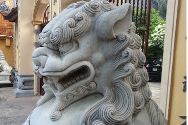 Sư tử độc hại rồi… sẽ đến Kuan Yin