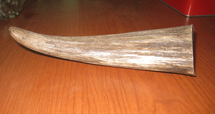 Bóc mẽ công nghệ làm giả sừng tê giác