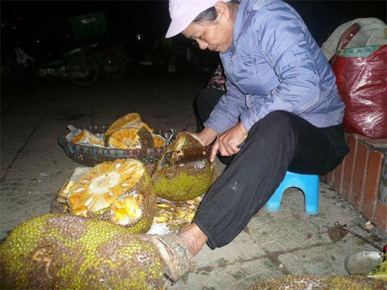 Kỹ nghệ 'hồi sinh' hoa quả thối