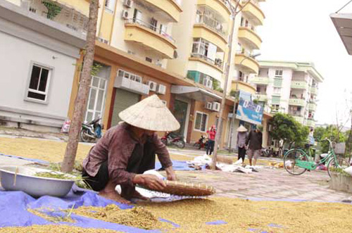 Lão nông chơi sang: Biệt thự triệu đô chỉ để... phơi rơm