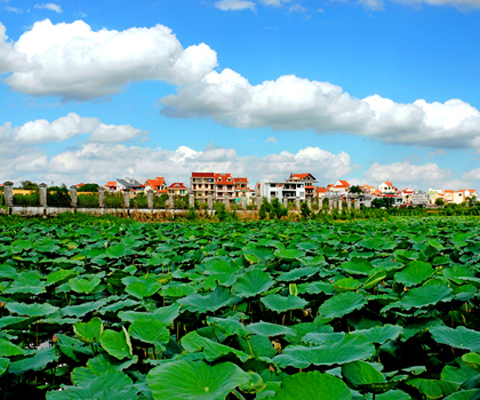 Rao bán biệt thự trăm tỷ đồng thời địa ốc khủng hoảng