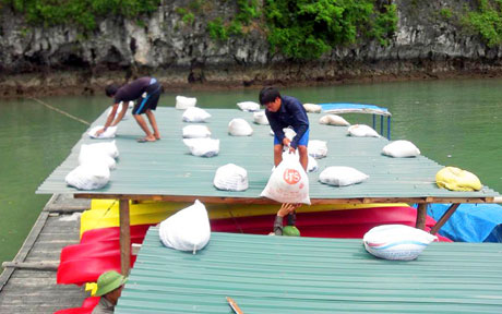 Bão số 2 đi chếch về biên giới Việt - Trung